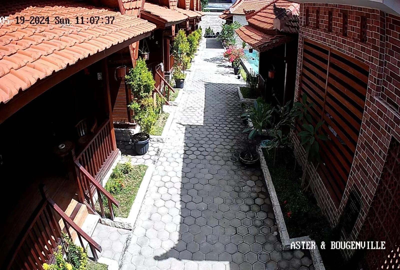 Uli Wood Villa, Jimbaran Bali - Near Gwk Eksteriør billede
